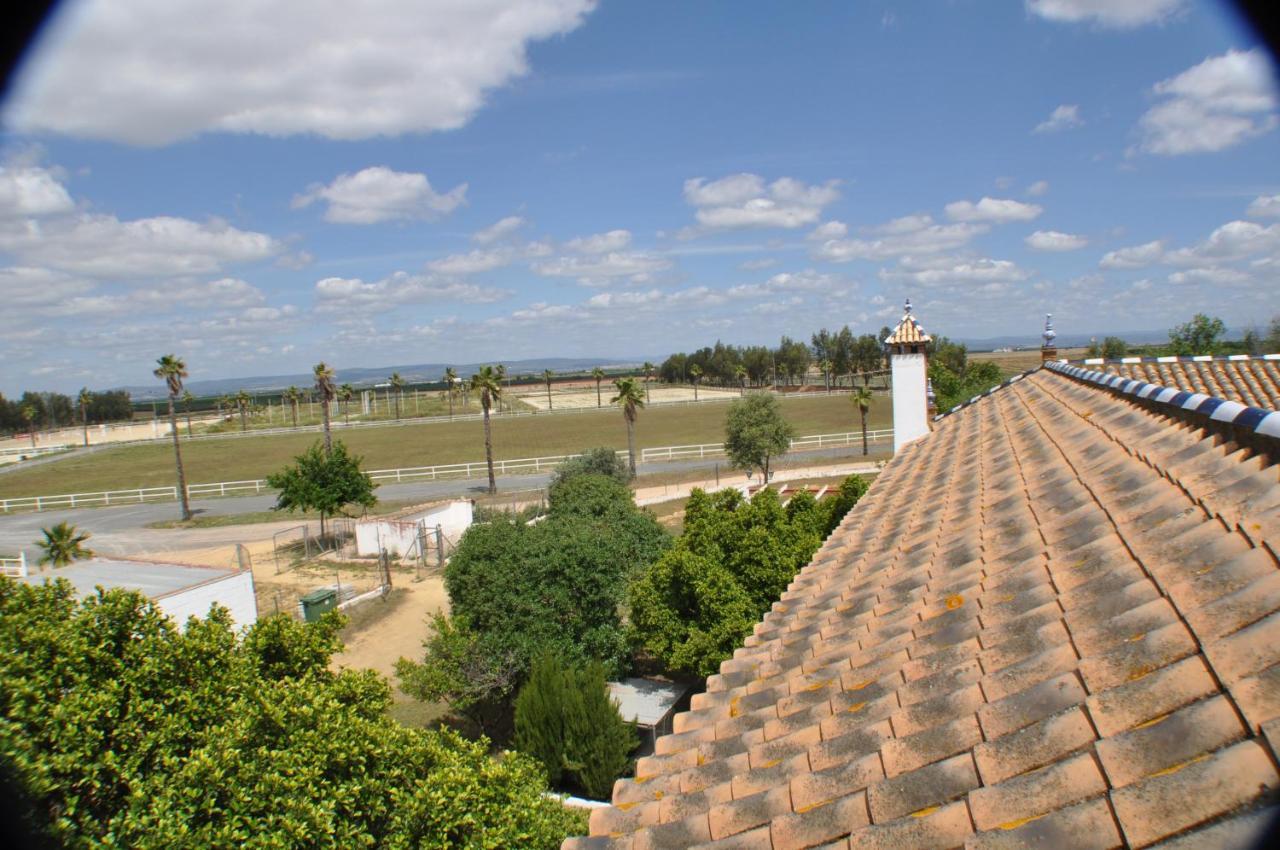 Cortijo La Amazona Villa Sevilla Dış mekan fotoğraf